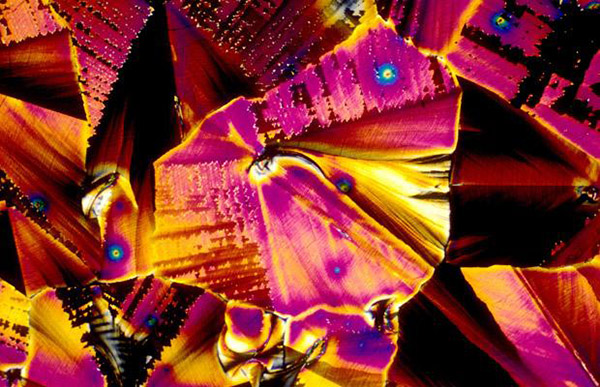 alcoholic drinks under microscope