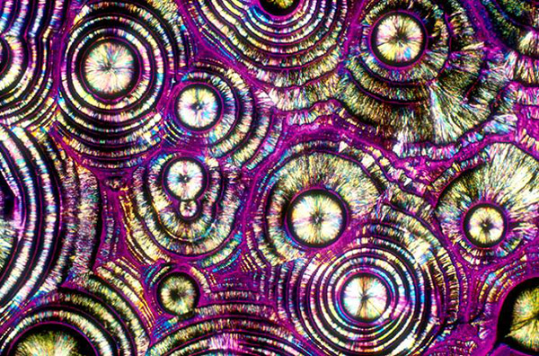 alcoholic drinks under microscope