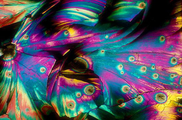 alcoholic drinks under microscope