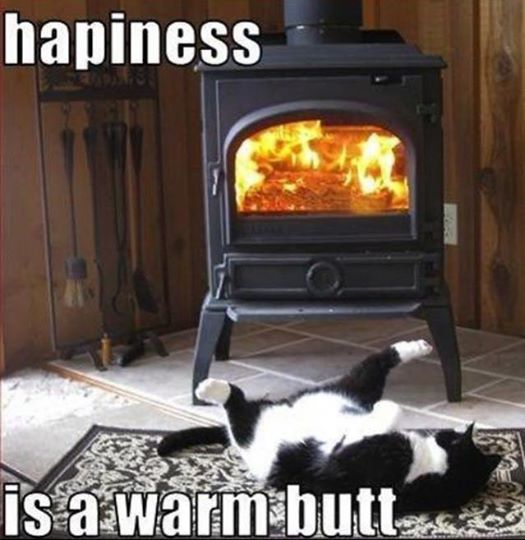 happiness is a warm butt
