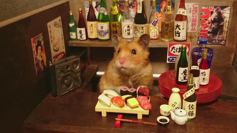 hamster bartender sushi