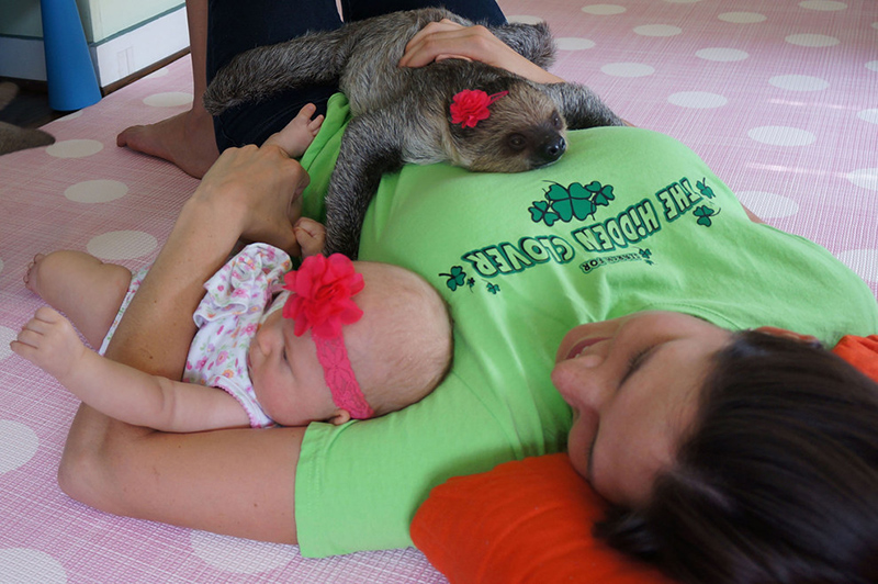 baby and sloth pictures