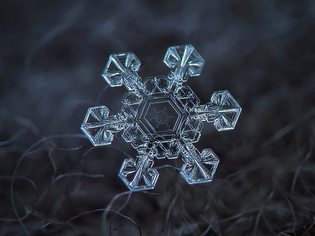 snowflakes closeup