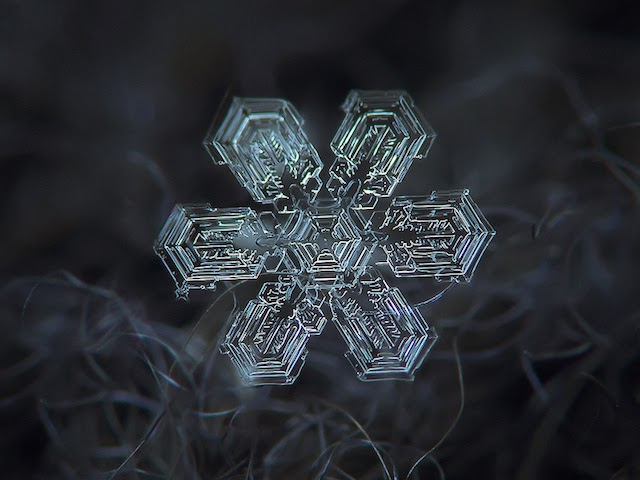 snowflakes closeup