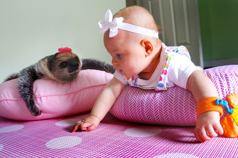 baby and sloth pictures