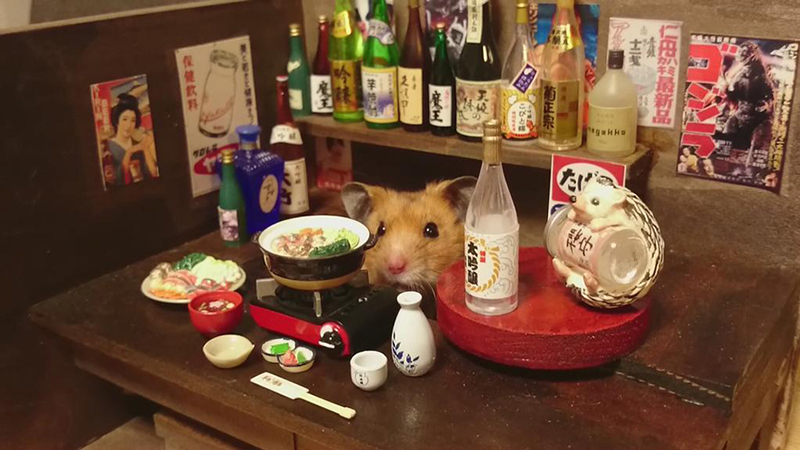 hamster bartender sushi