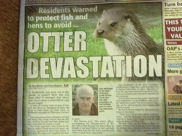 The 50 Greatest News Headlines Of All Time
