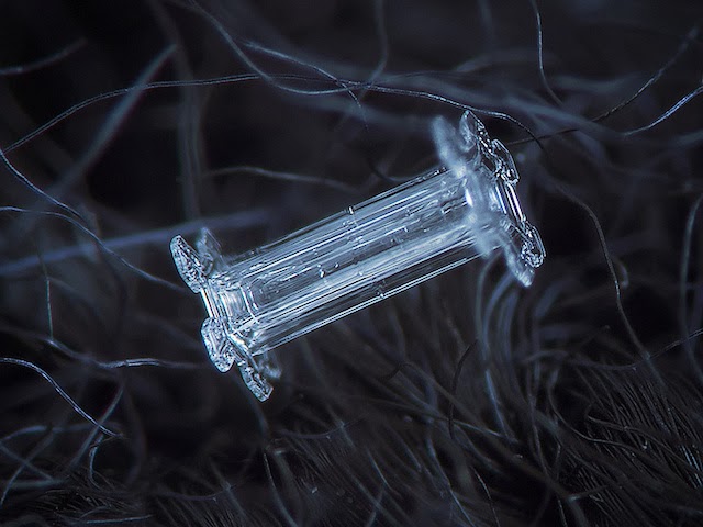 snowflakes closeup