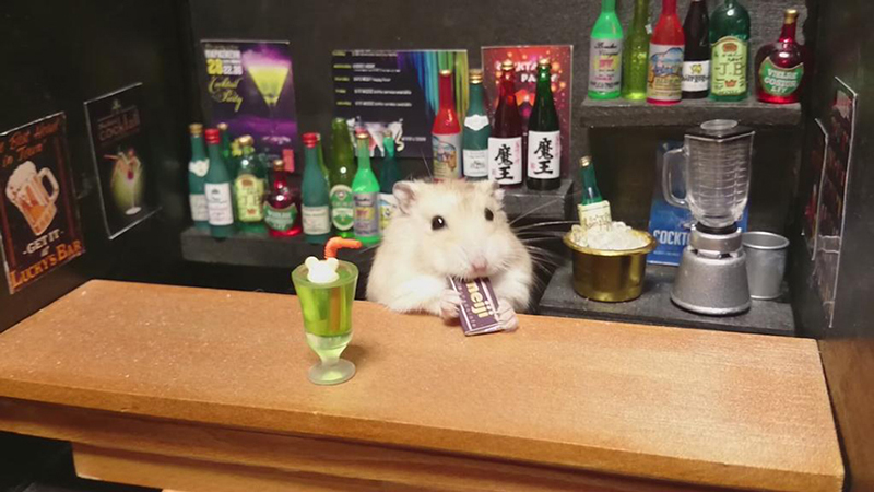 hamster bartender sushi