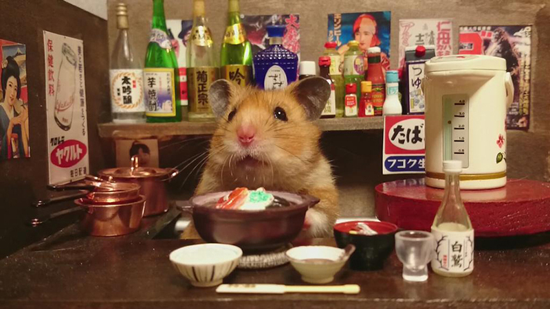 hamster bartender sushi