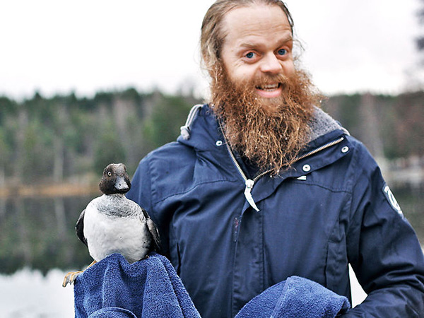 Norwegian man saves duck in ice