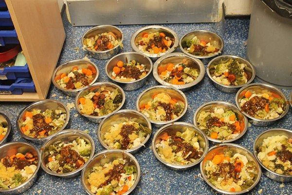 Generous Woman Cooks Full Roast Dinners For Over 40 Shelter Dogs Every