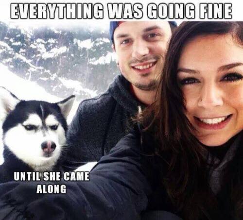 everything was going fine until she showed up meme