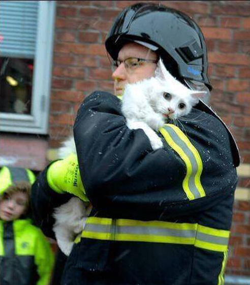 firefighter saves cat