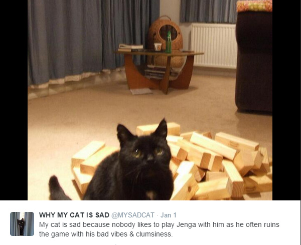 These Hilarious Tweets Explain Why This Cat Is Always Sad