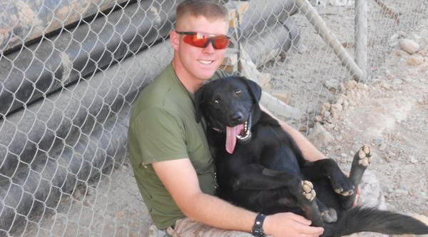 combat dog reunites  marine