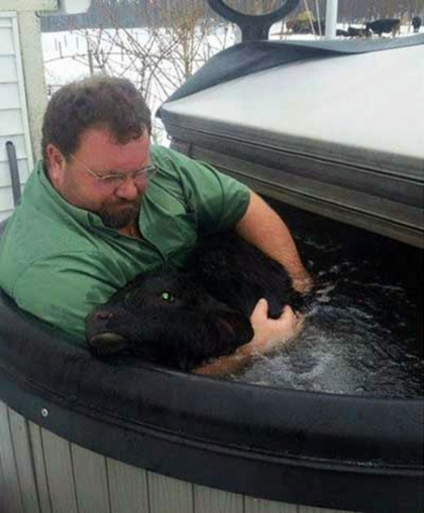 farmer and baby cow hot tub