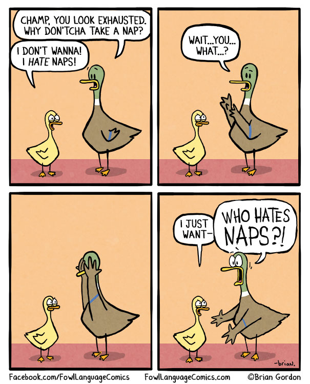 Meet Your New Shrink - A Relatable Duck That Will Make You Feel Better