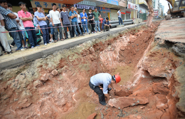 dinosaur eggs found in china