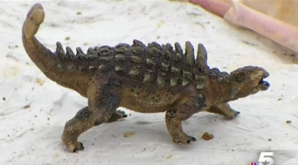 4 year old finds dinosaur bones