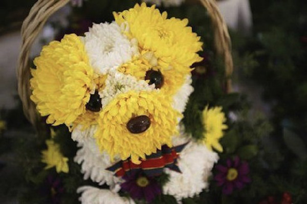 dog flower arrangements