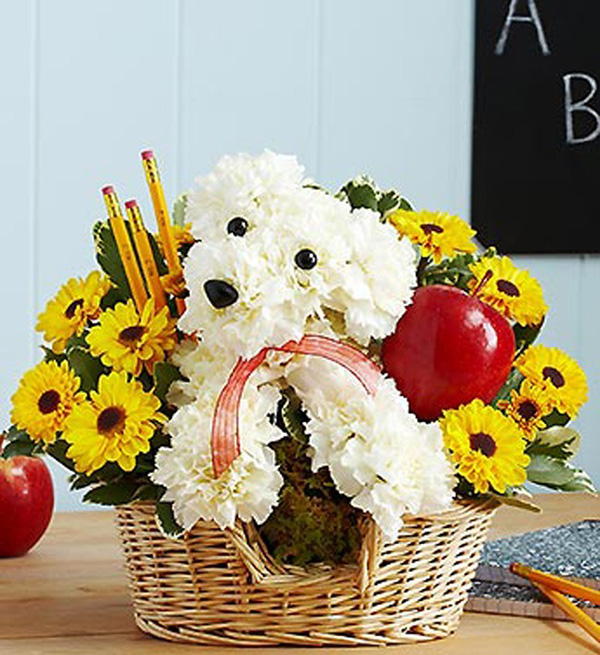 dog flower arrangements