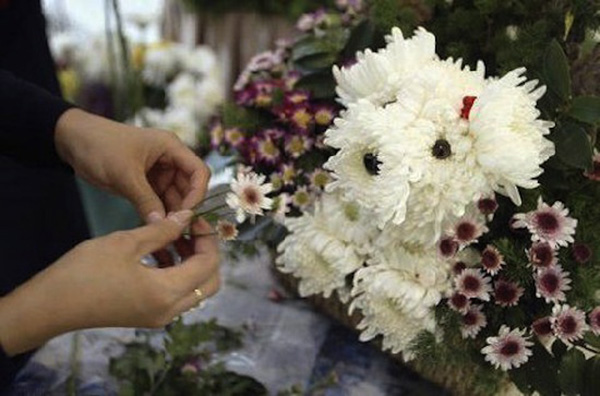 dog flower arrangements