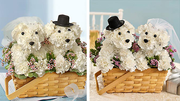 dog flower arrangements