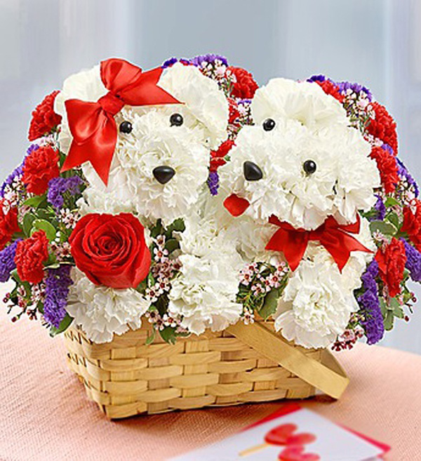 dog flower arrangements