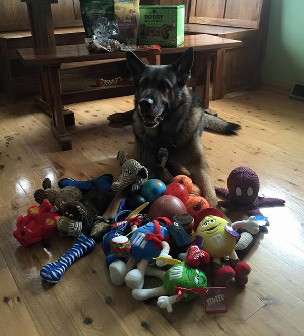 police dog retirement party