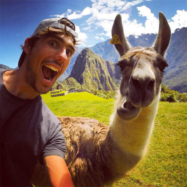 llama selfie