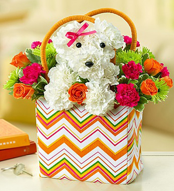 dog flower arrangements