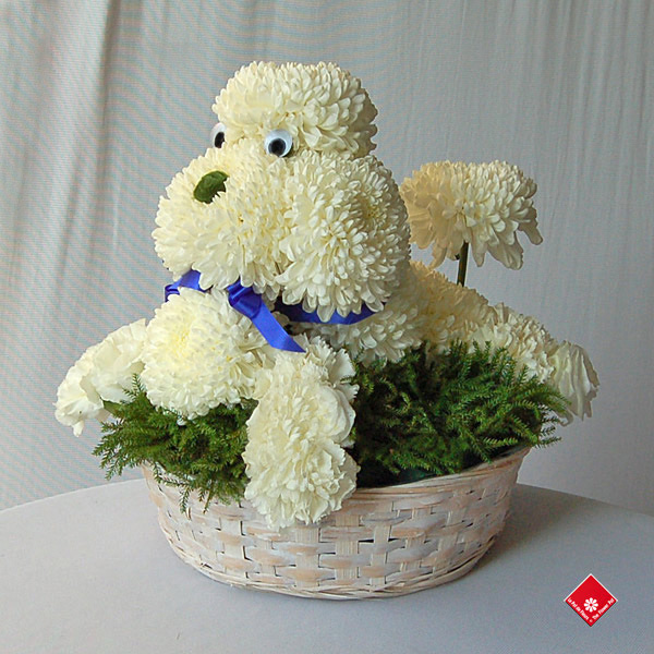 poodle flower arrangement