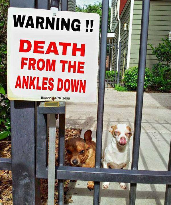 warning death from the ankles down sign