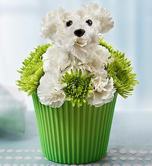 dog flower arrangements