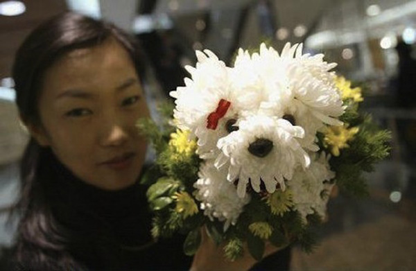 dog flower arrangements