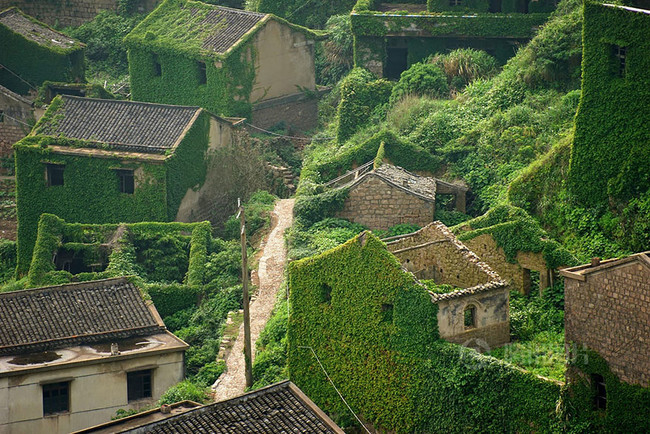 abandoned village taken over by Earth