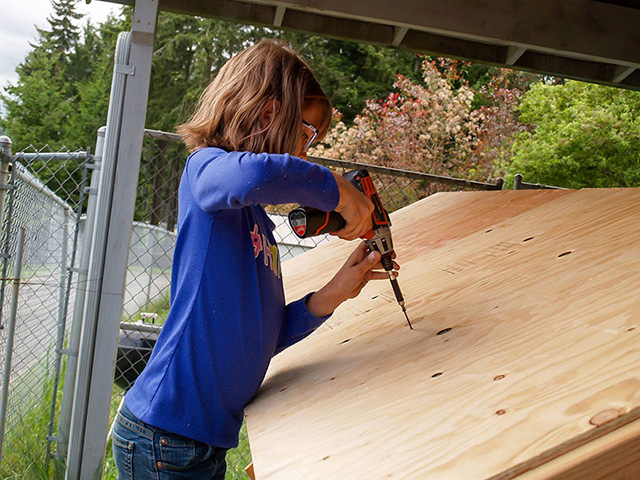 young girl builds shelters for homeless good news