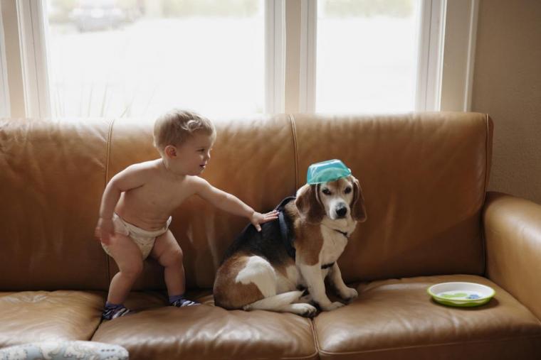 mailman writes note to boy from dog