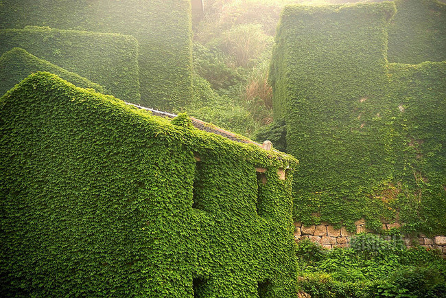 abandoned village taken over by Earth