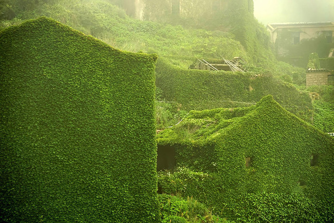 abandoned village taken over by Earth