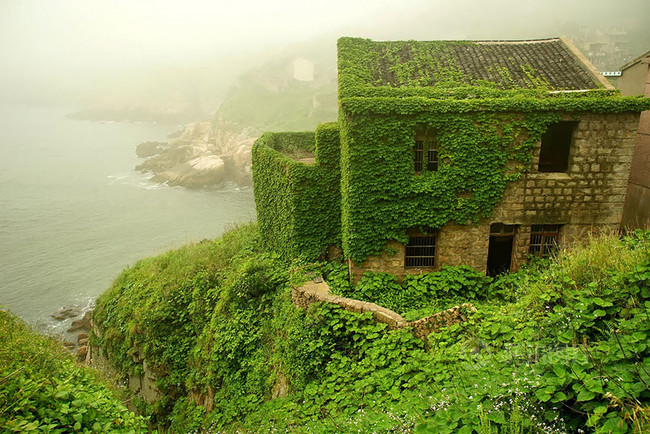 abandoned village taken over by Earth