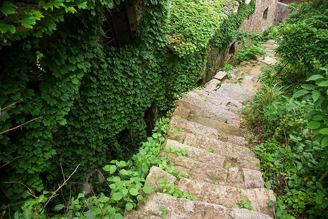 abandoned village taken over by Earth