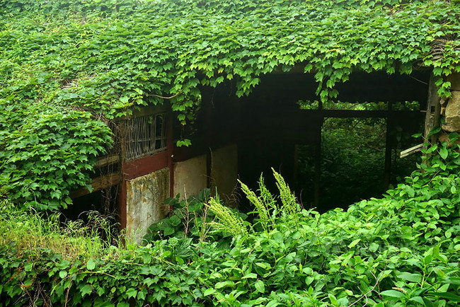 abandoned village taken over by Earth