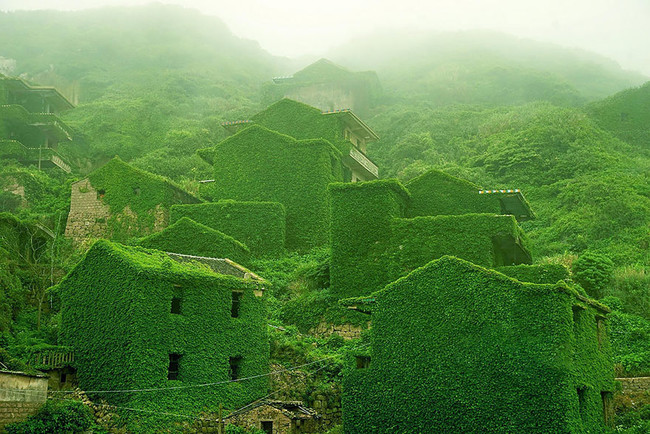 abandoned village taken over by Earth