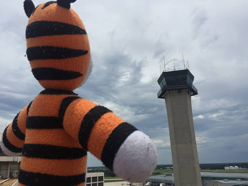 airport hobbes adventure