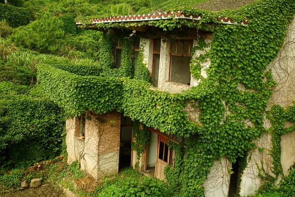 abandoned village taken over by Earth