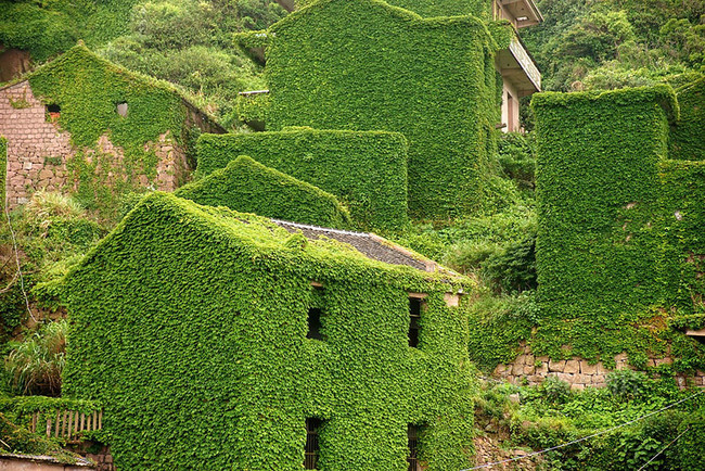 abandoned village taken over by Earth