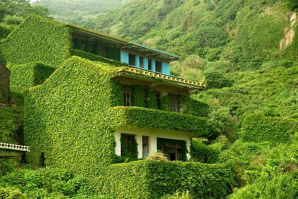 abandoned village taken over by Earth