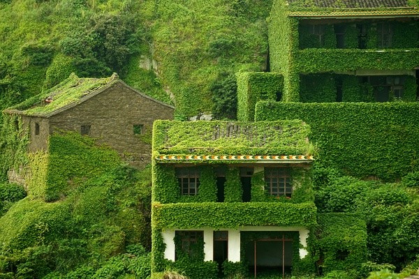 abandoned village taken over by Earth